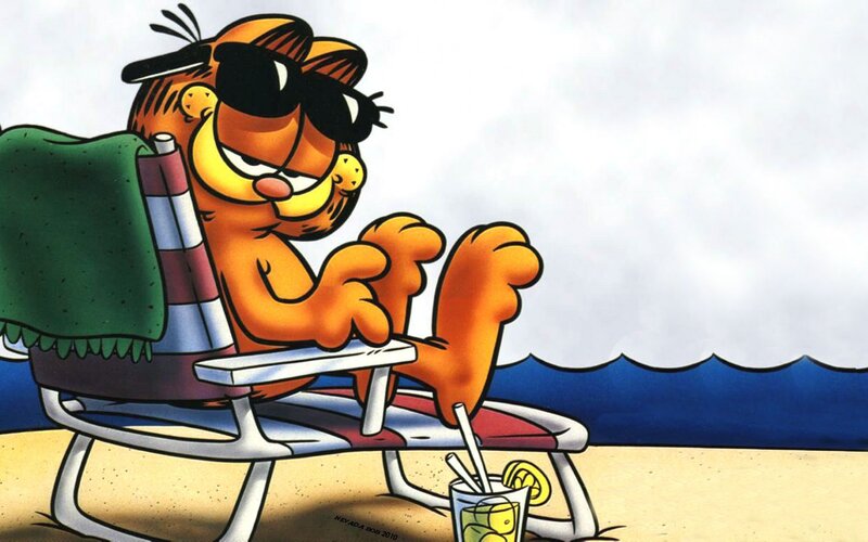 Garfield on Beach Chair