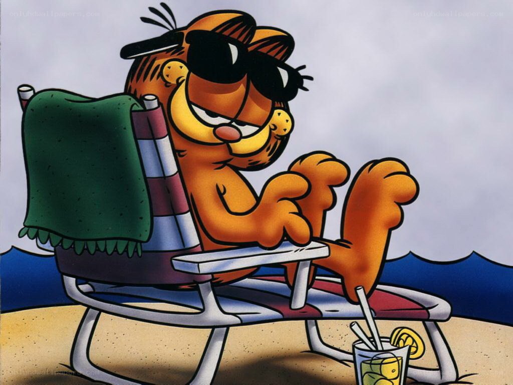 Garfield on the beach