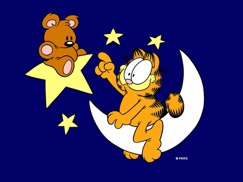 Garfield on the moon
