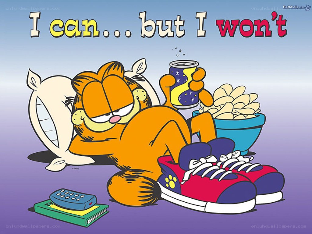 Garfield's lazy day