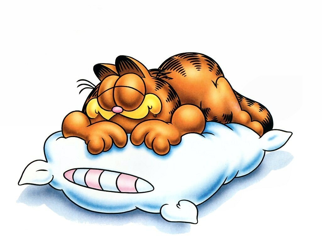 Garfield sleeping on a pillow