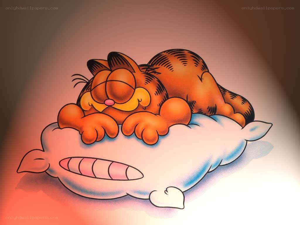 Garfield sleeping on a pillow
