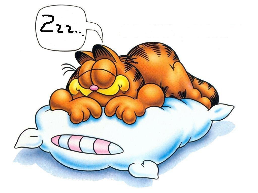 Garfield sleeping on a pillow