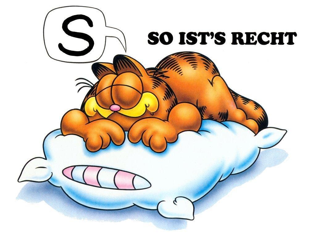 Garfield sleeping on a pillow