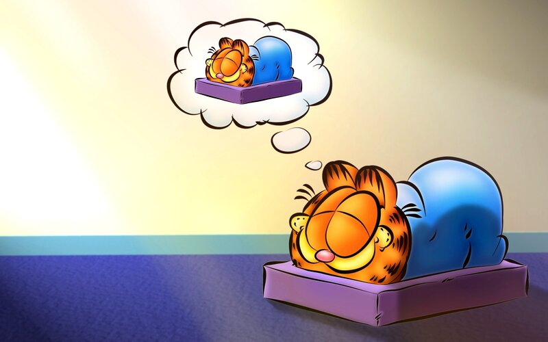 Garfield Sleeping on Bed