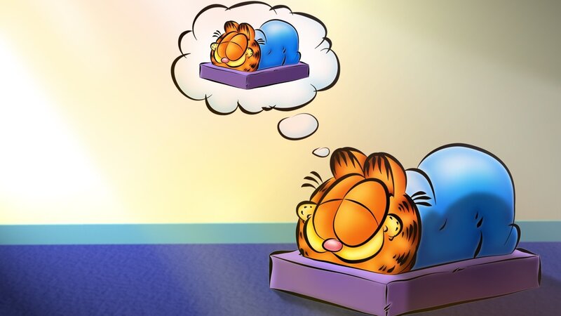 Garfield Sleeping — Orange