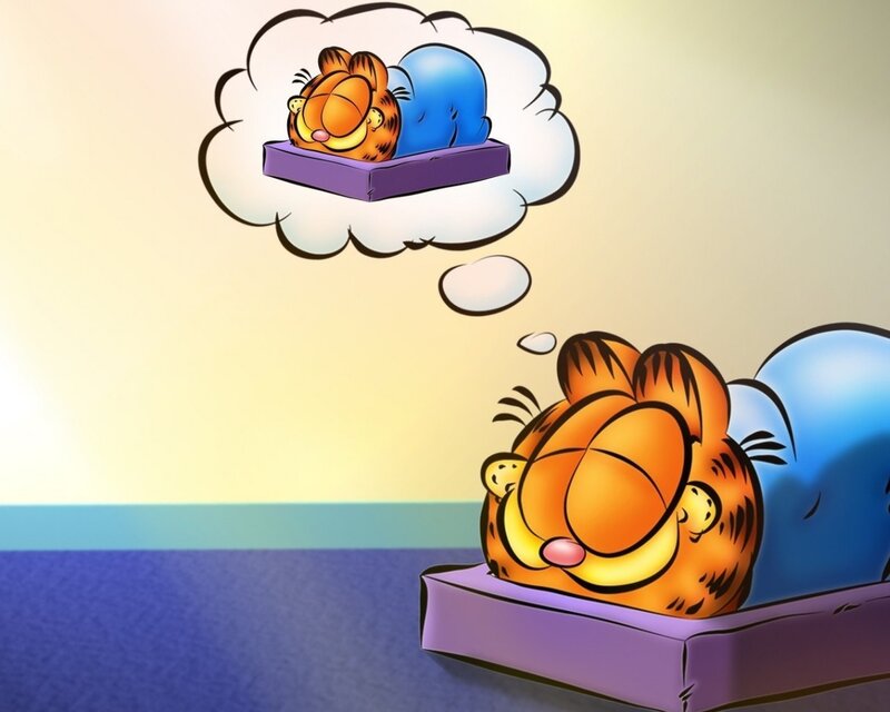 Garfield Sleeping