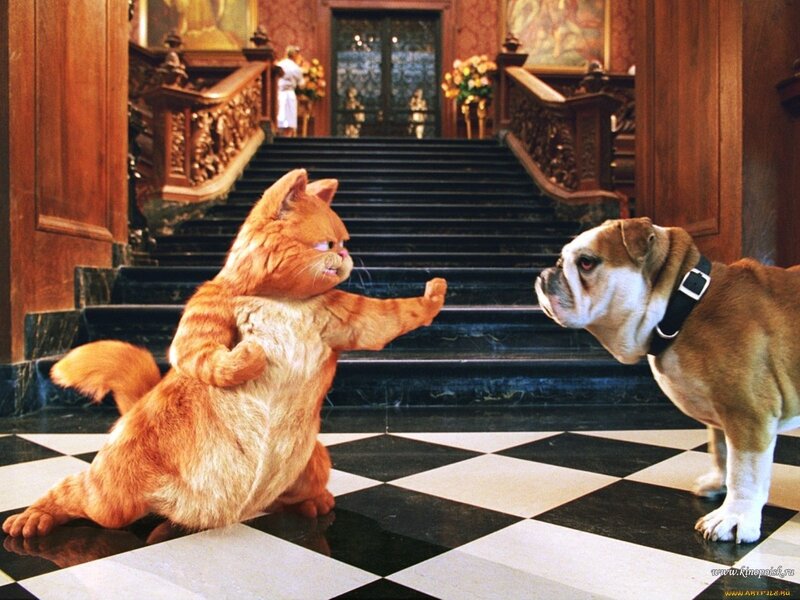 Garfield the Cat — Orange, Dramatic