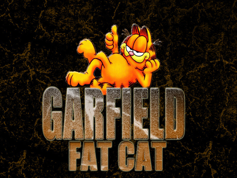 Garfield the Cat — Orange, Playful