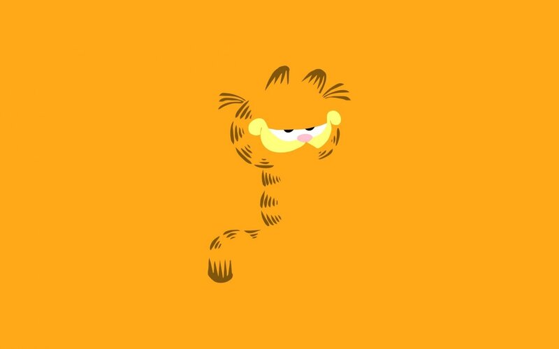 Garfield the Cat — Orange, Playful, Vector Art