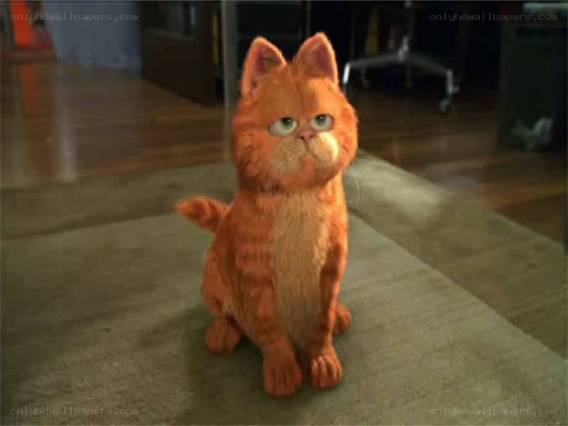 Garfield the cat sitting