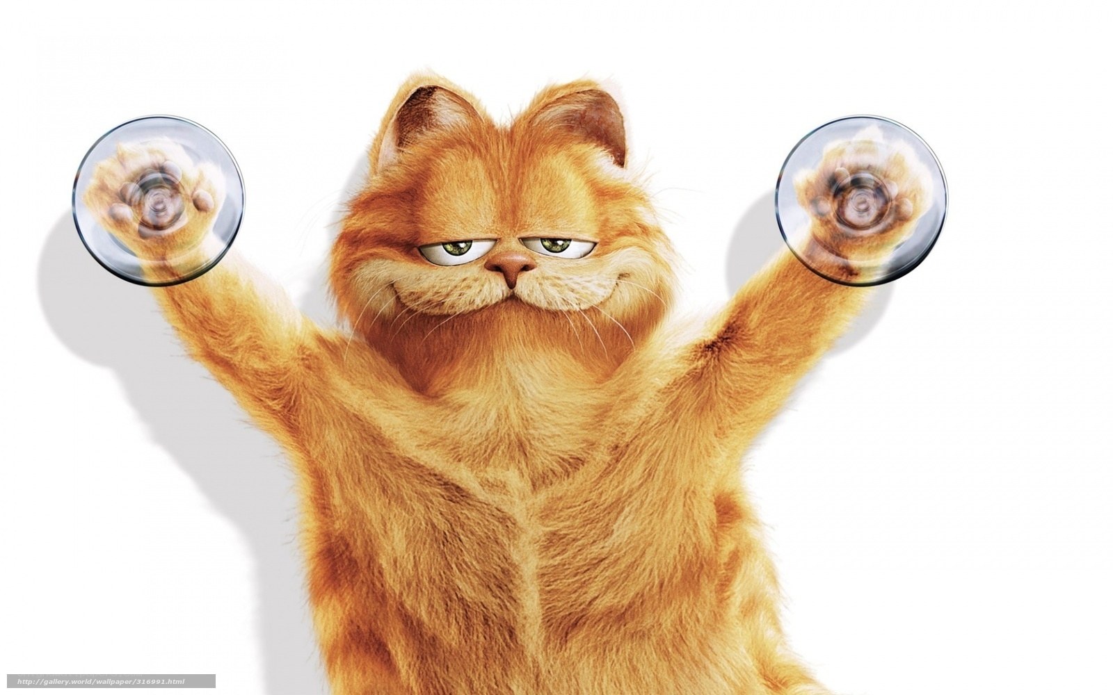 Garfield with suction cups