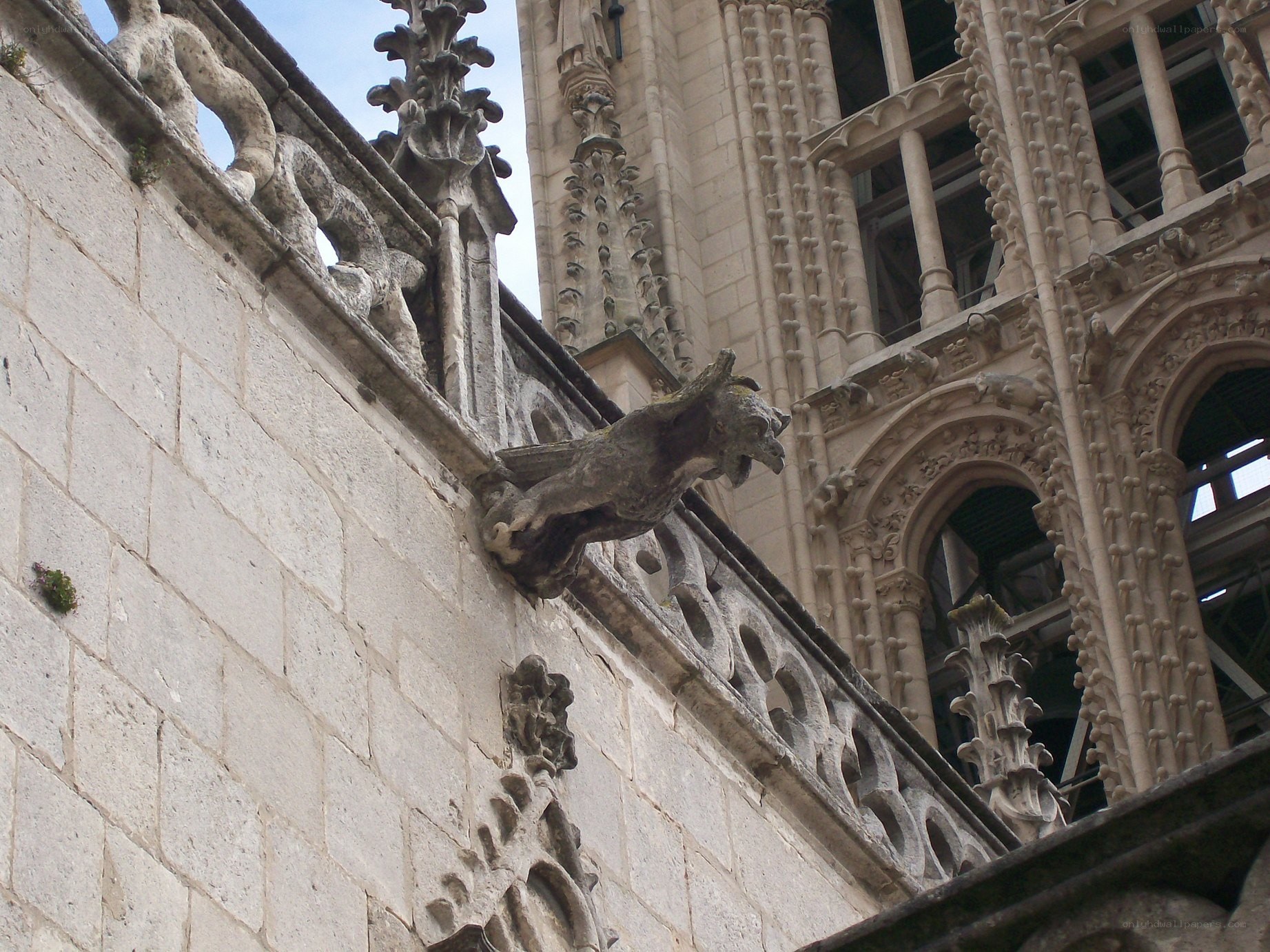Gargoyle on cathedral wall