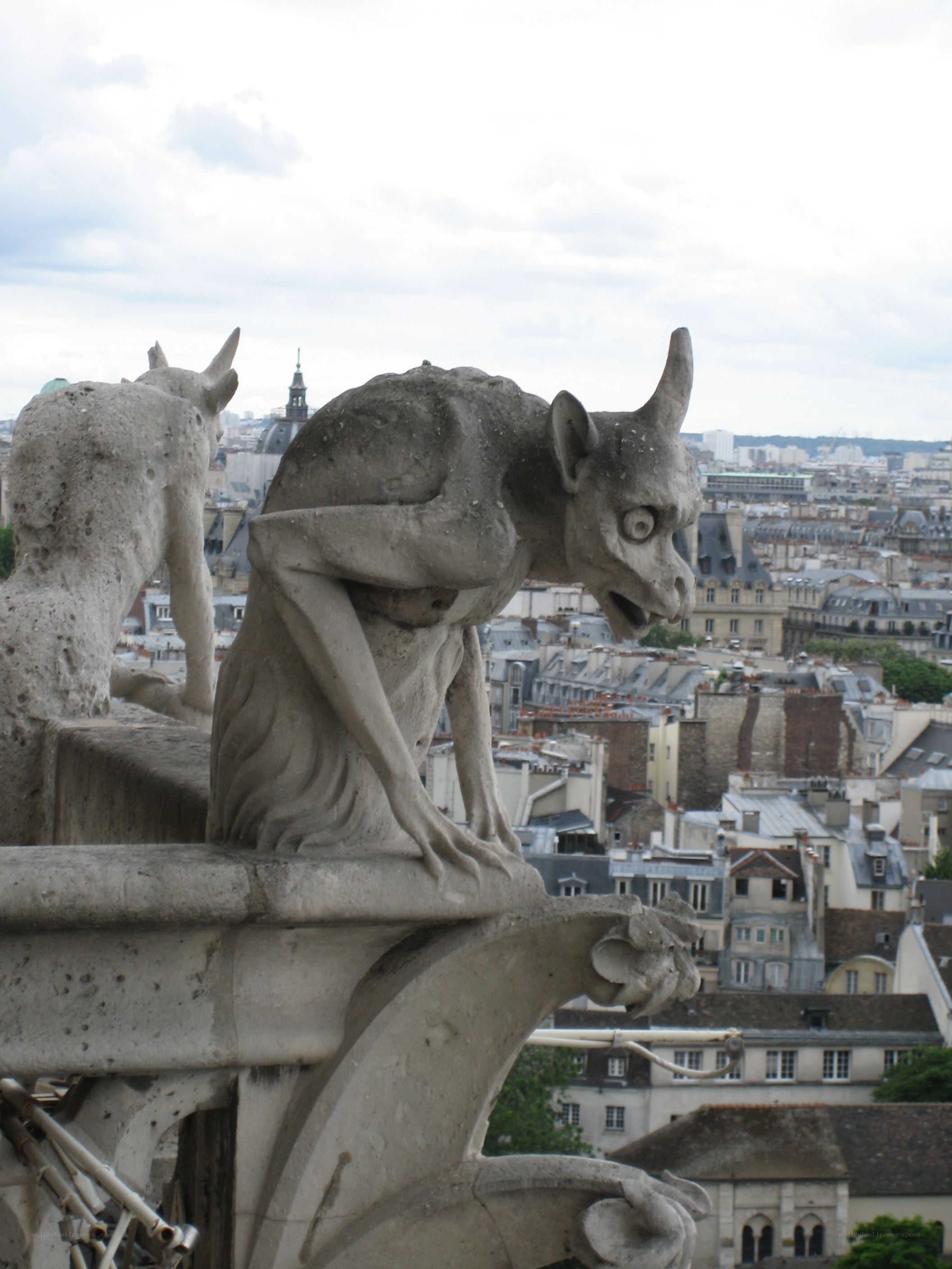 Gargoyle on Notre-Dame Cathedral