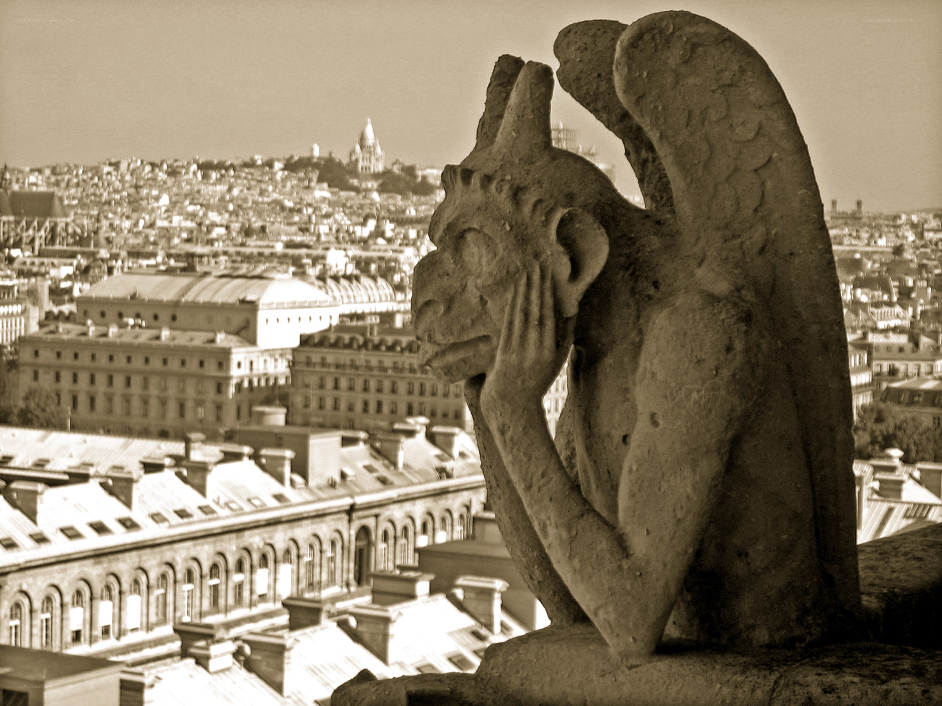 Gargoyle overlooking Paris