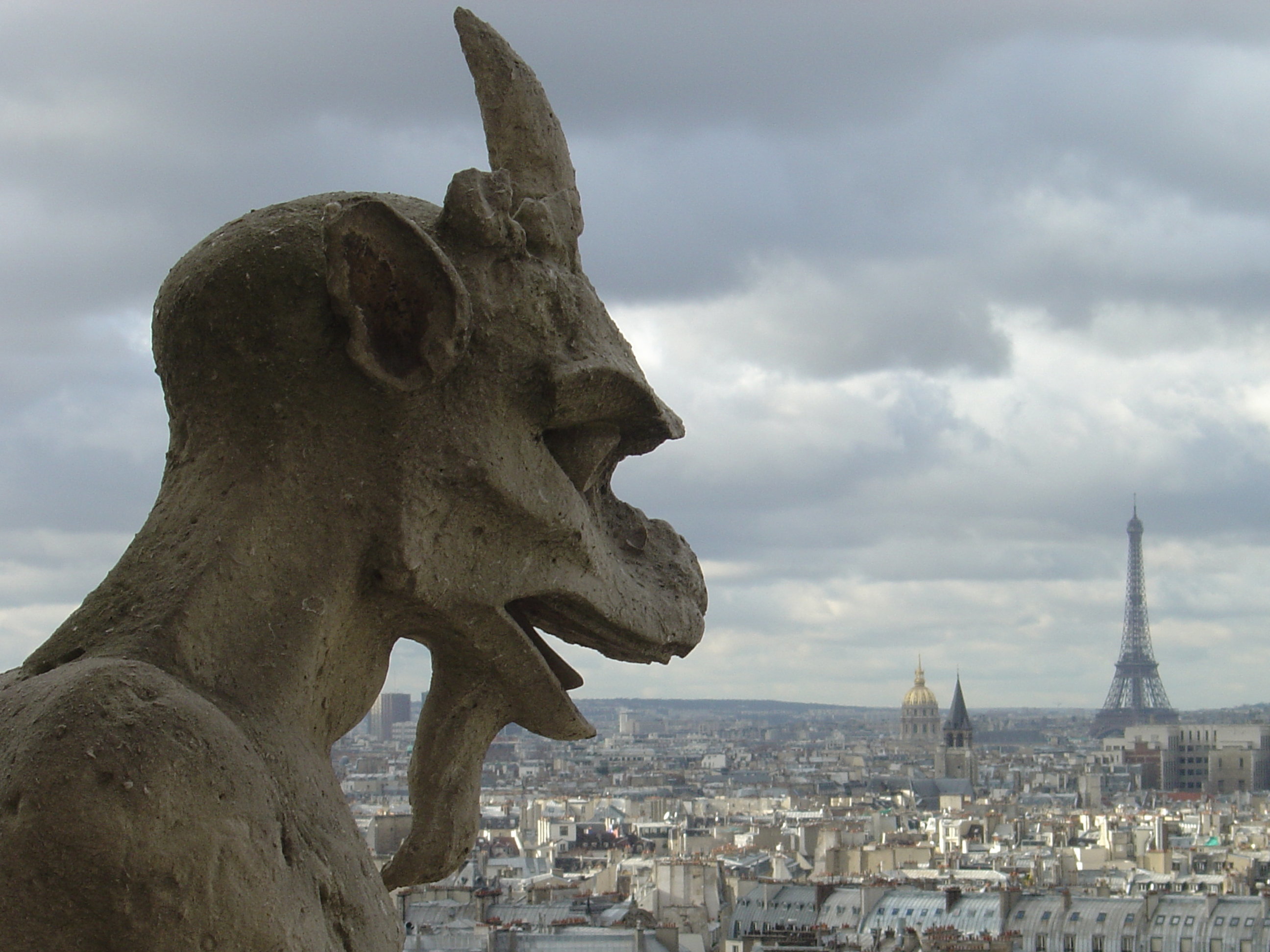 Gargoyle overlooks Paris