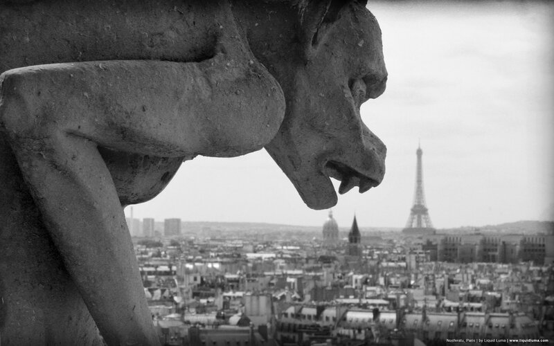 Gargoyle overlooks Paris