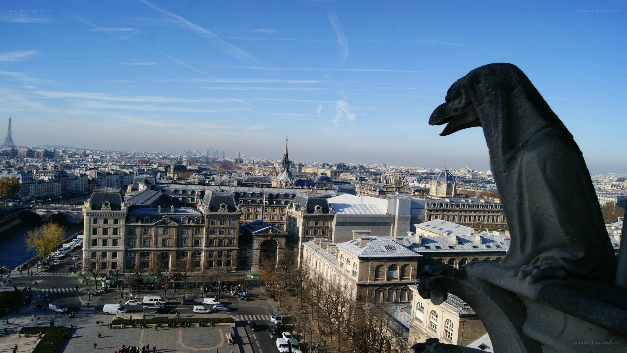 Gargoyle view of Paris