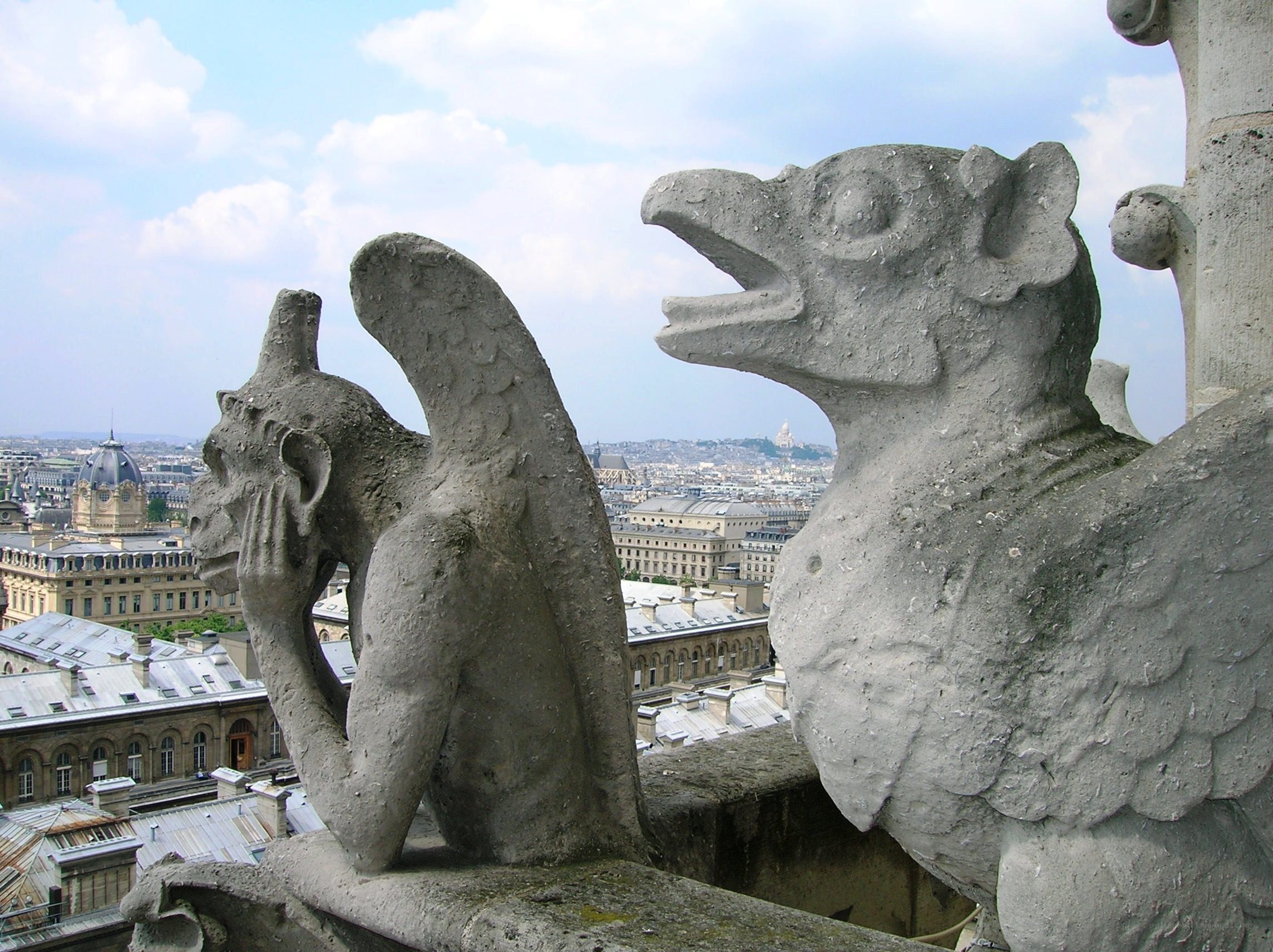 Gargoyles on a cathedral