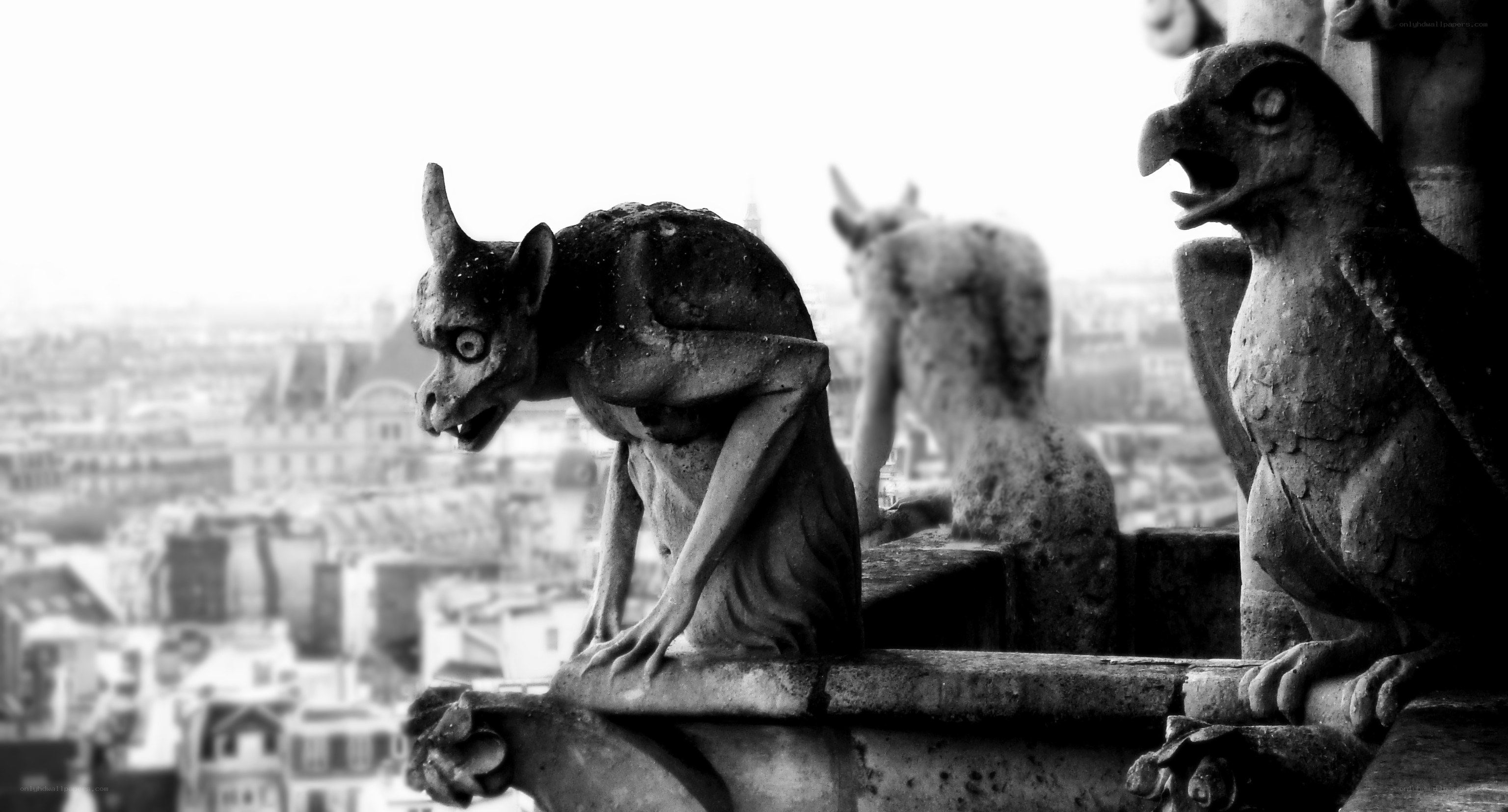 Gargoyles on a cathedral