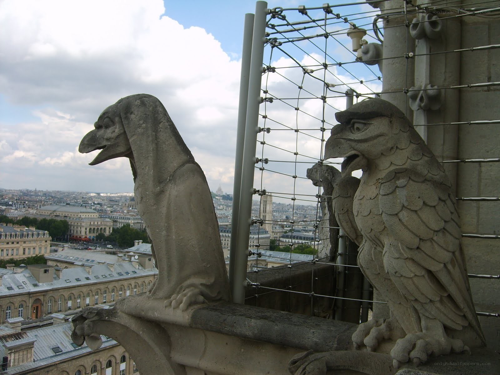 Gargoyles on Notre-Dame