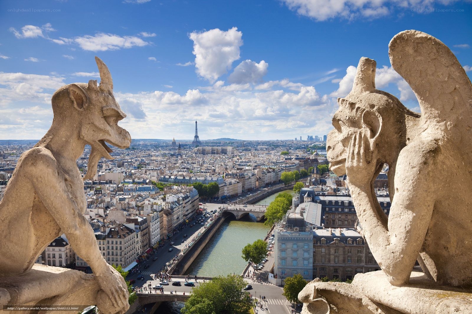 Gargoyles overlook Paris