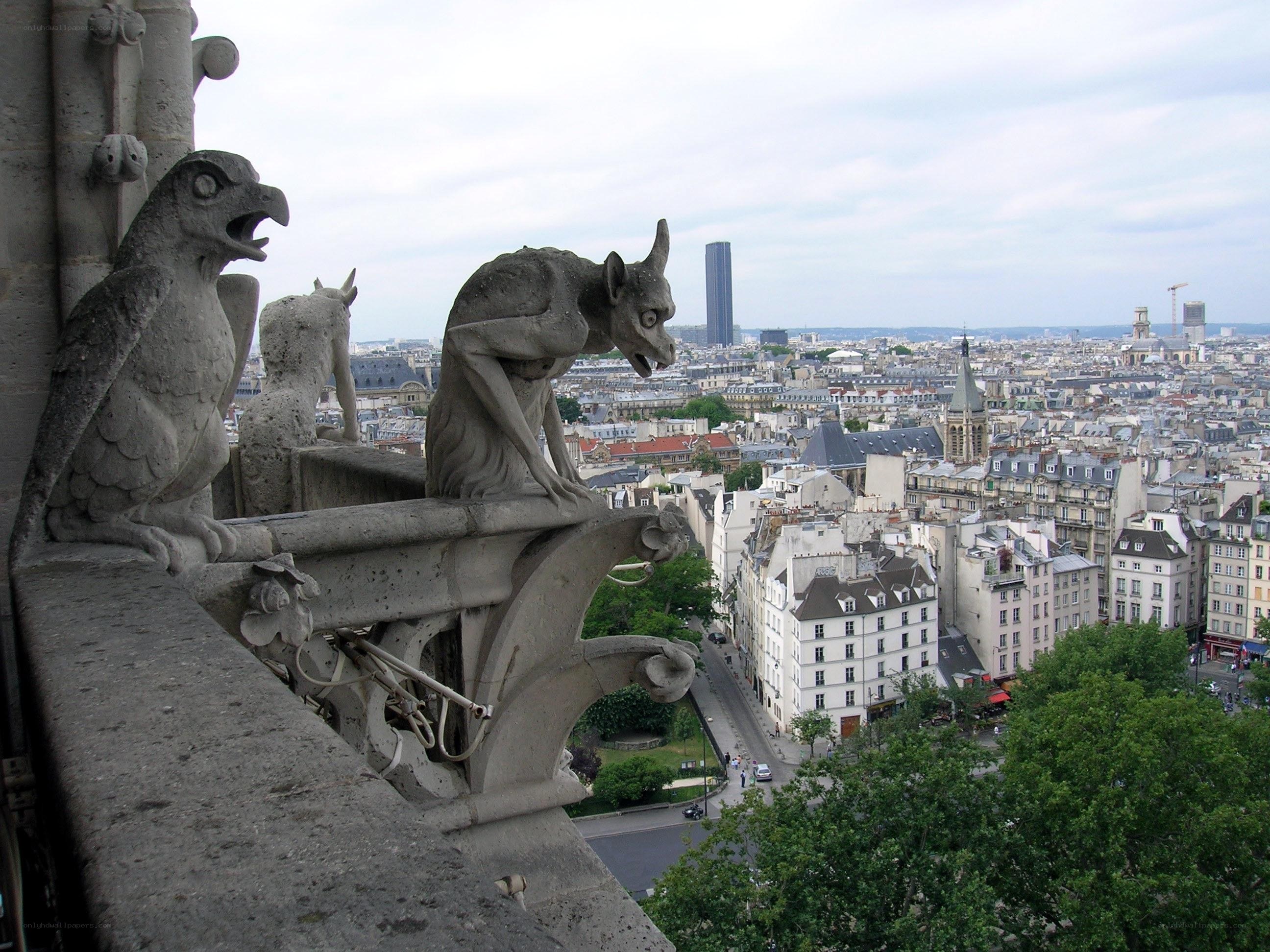 Gargoyles overlooking Paris