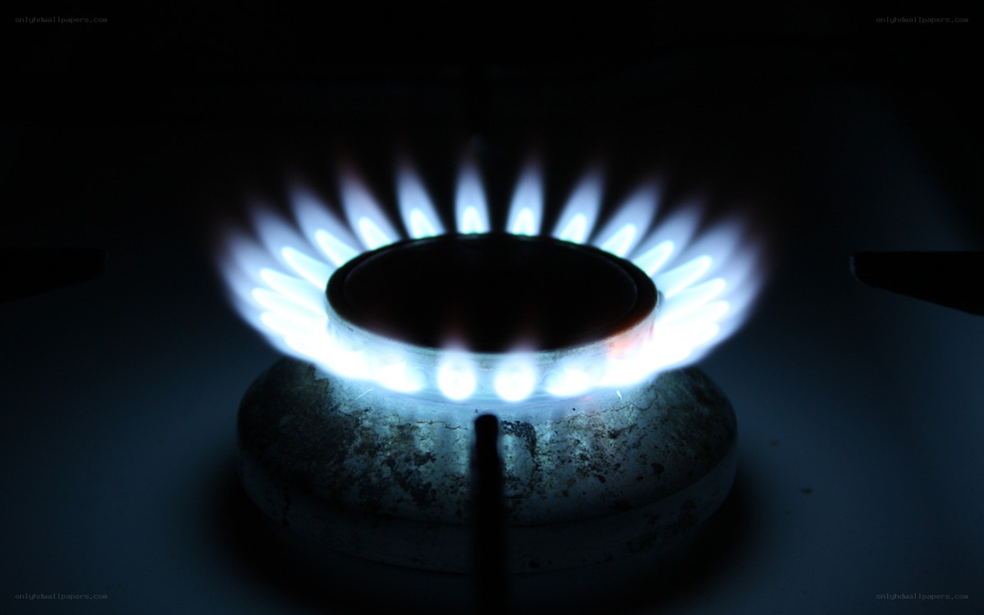 gas stove burner flame