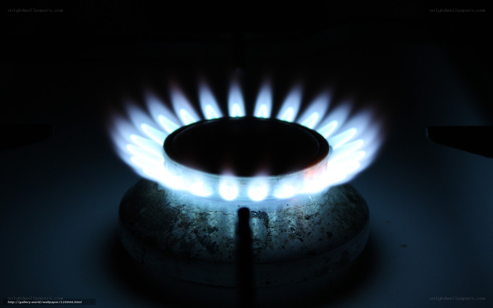 gas stove burner flame