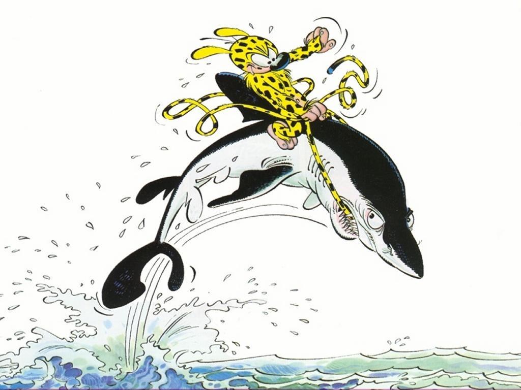 Gaston Lagaffe riding a shark