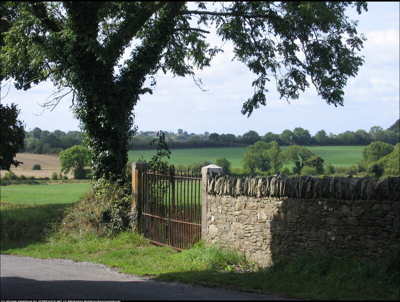 Gate in Rural Landscape