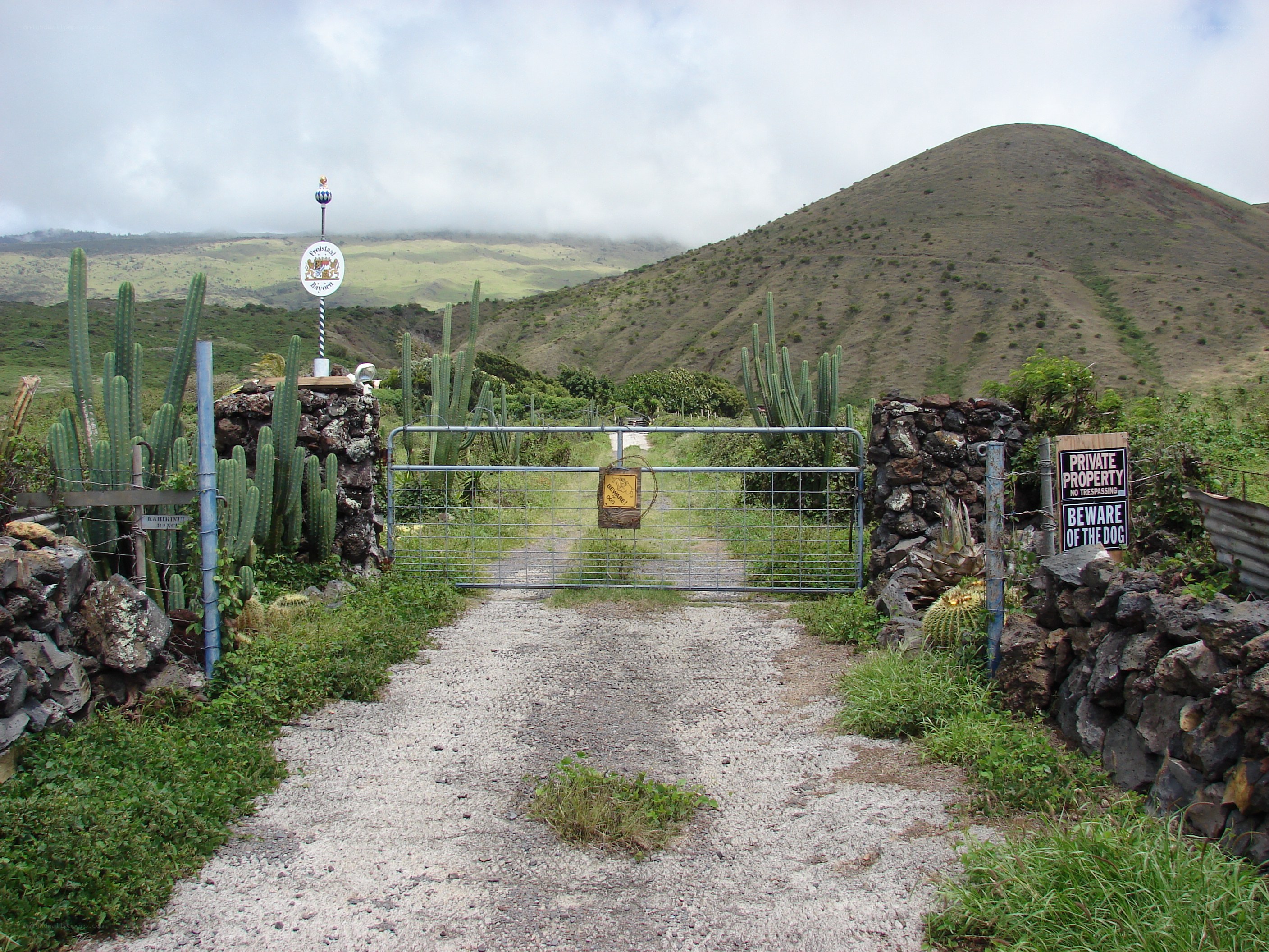 Gate to private property with cacti