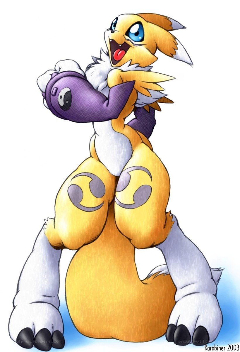 Gatomon holding a Digimon