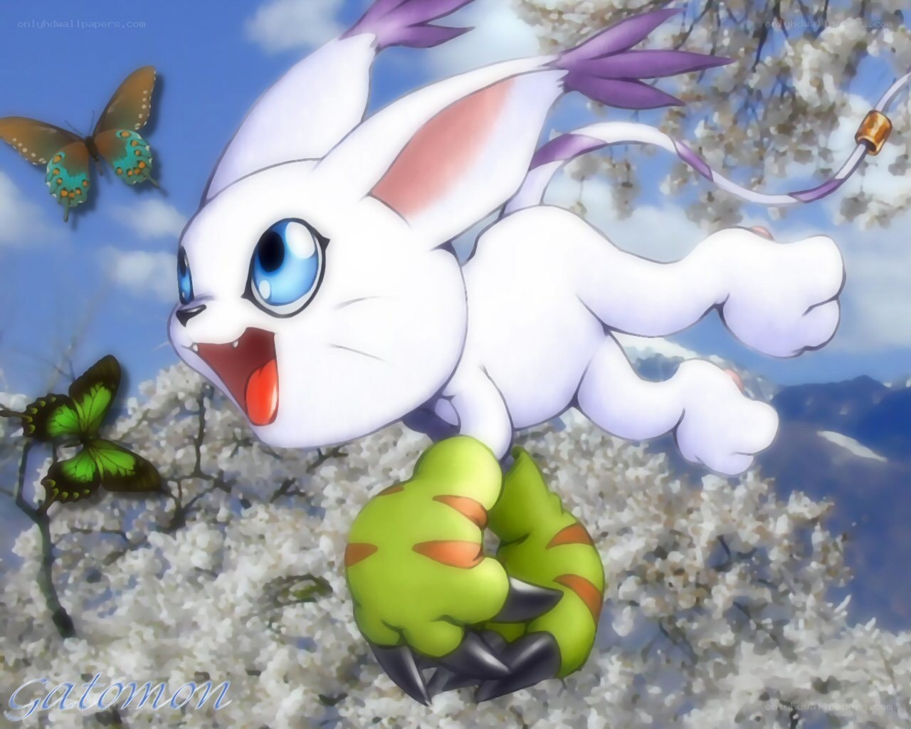 Gatomon in cherry blossoms