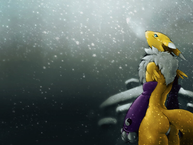 Gatomon in the snow