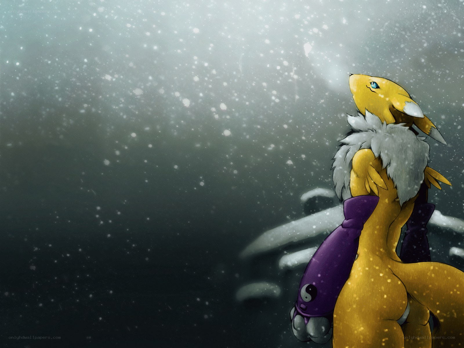Gatomon in the snow