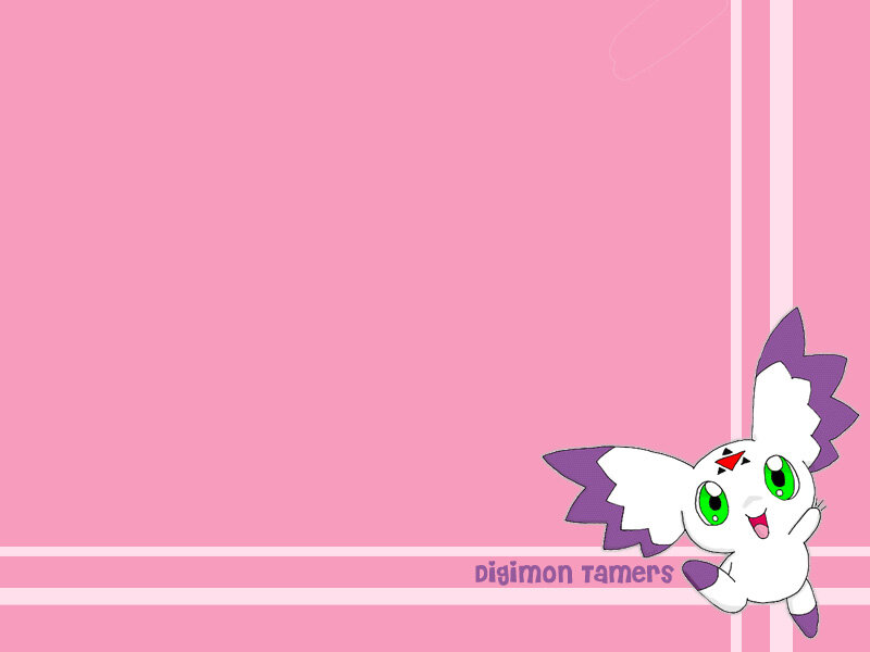 Gatomon on pink background