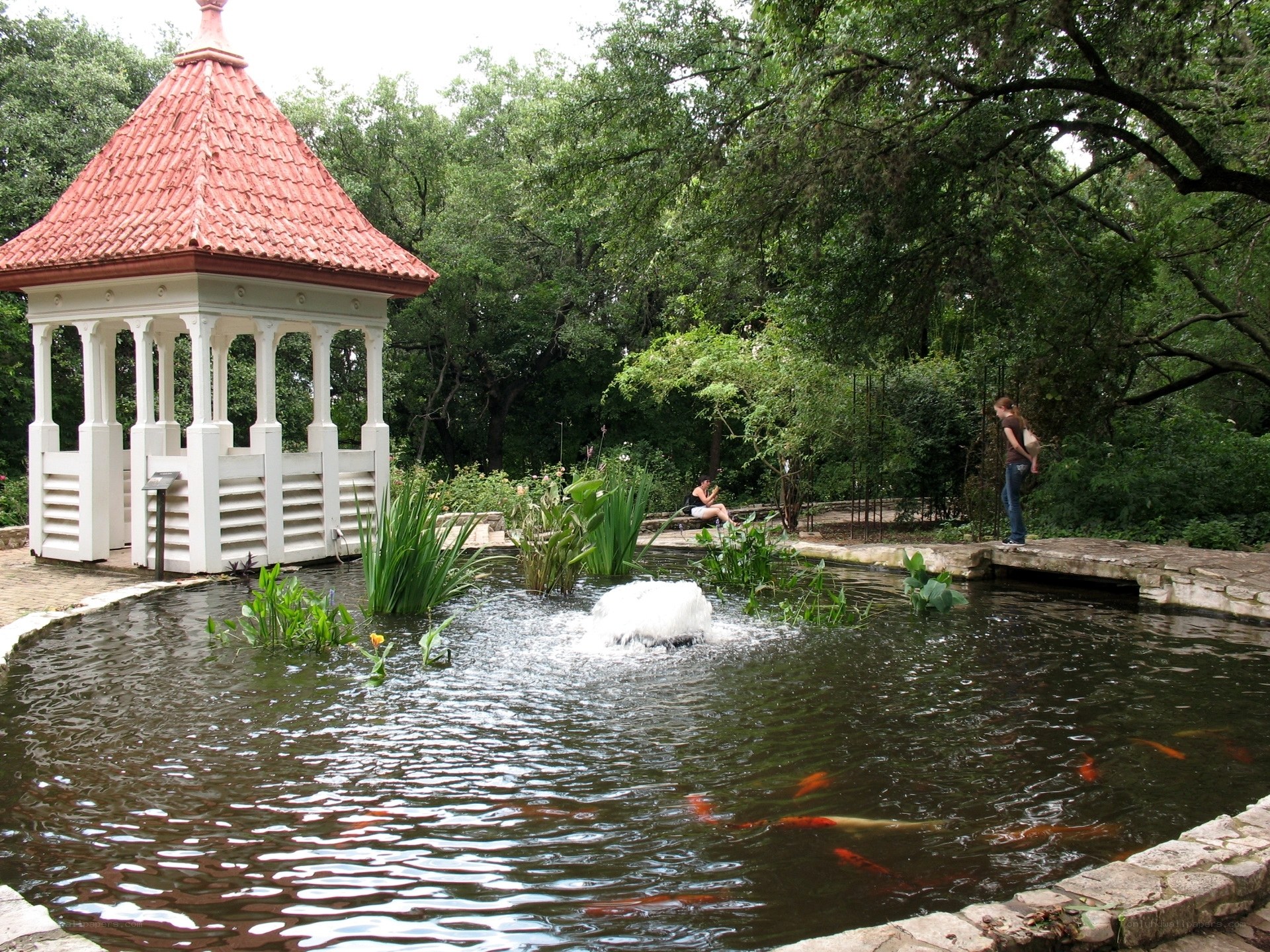 Gazebo by a koi pond