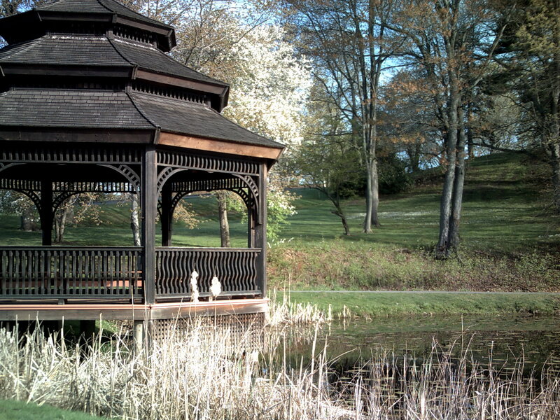 Gazebo by a pond in a park