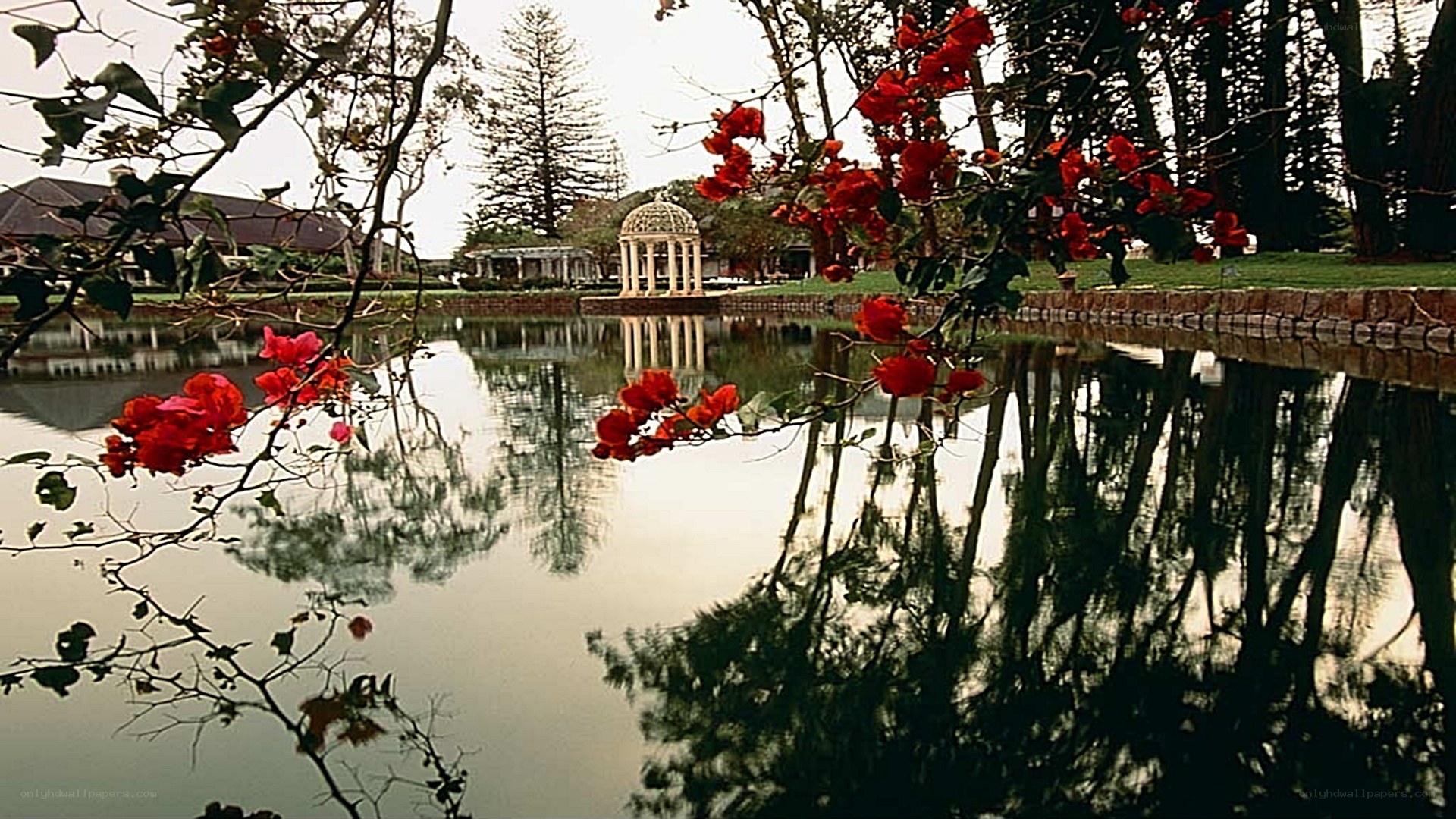 Gazebo by a tranquil pond