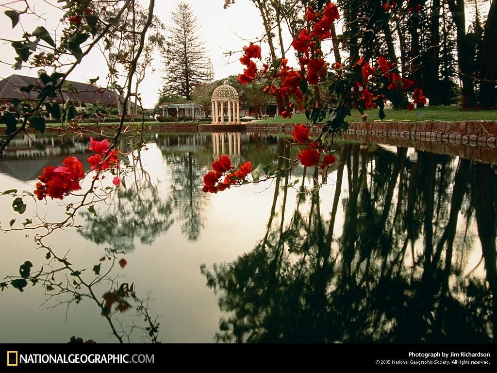 Gazebo by a tranquil pond