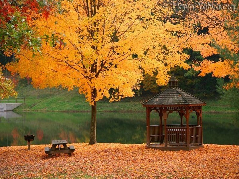 Gazebo by Lake in Autumn