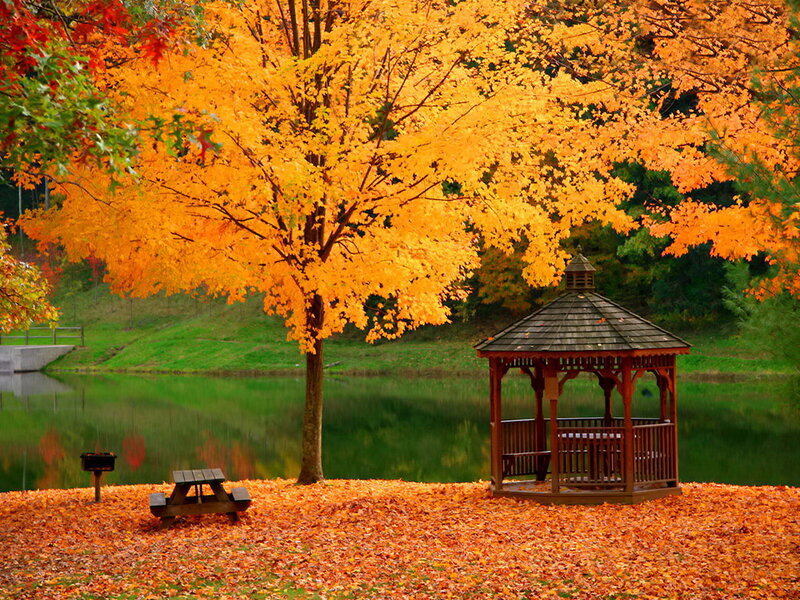Gazebo by Lake — Orange