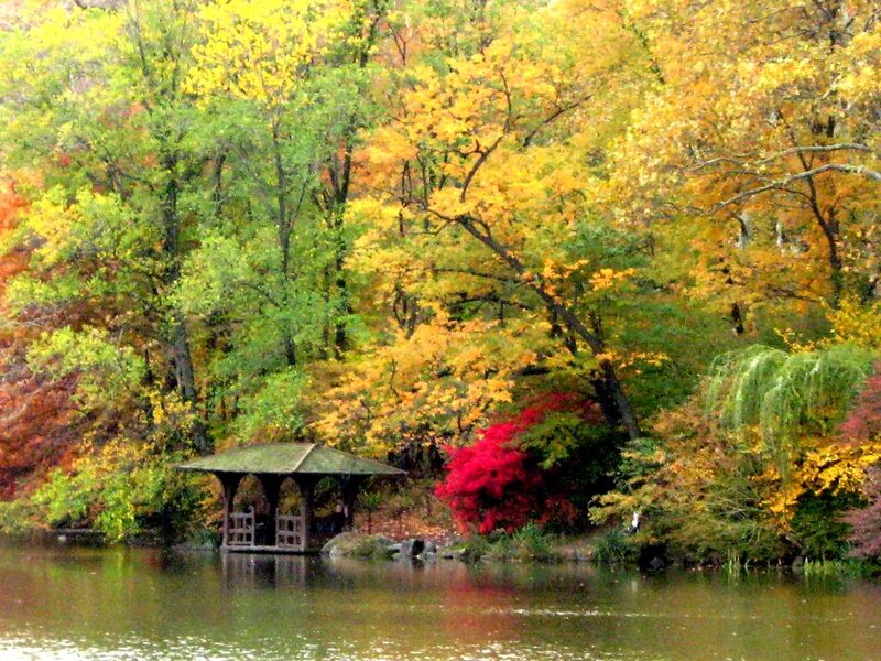 Gazebo by Lake — Yellow