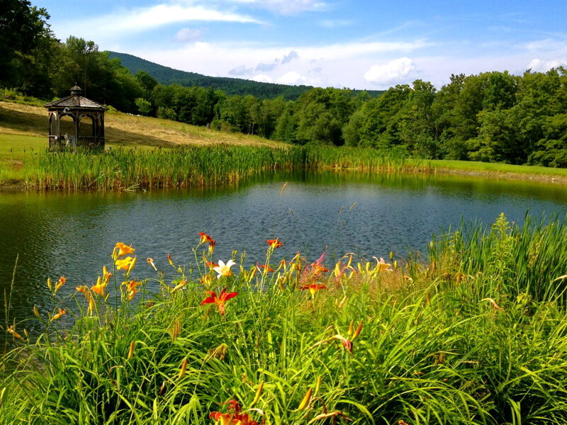 Gazebo by Pond
