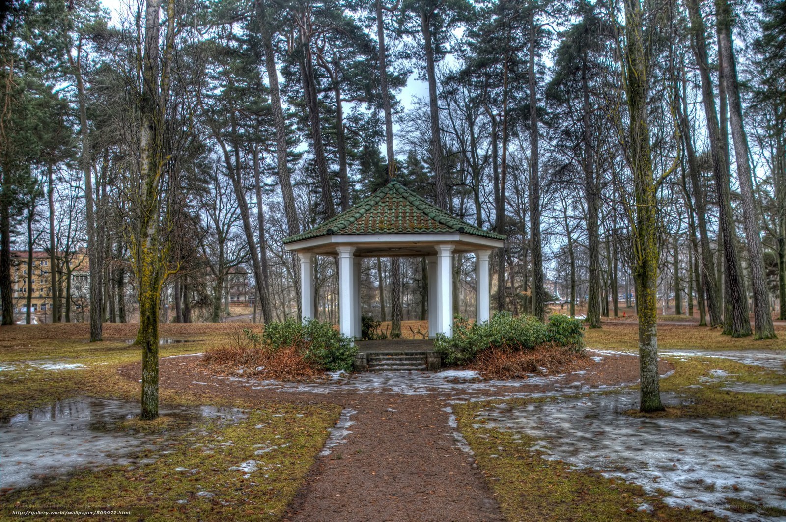 Gazebo in a forest park