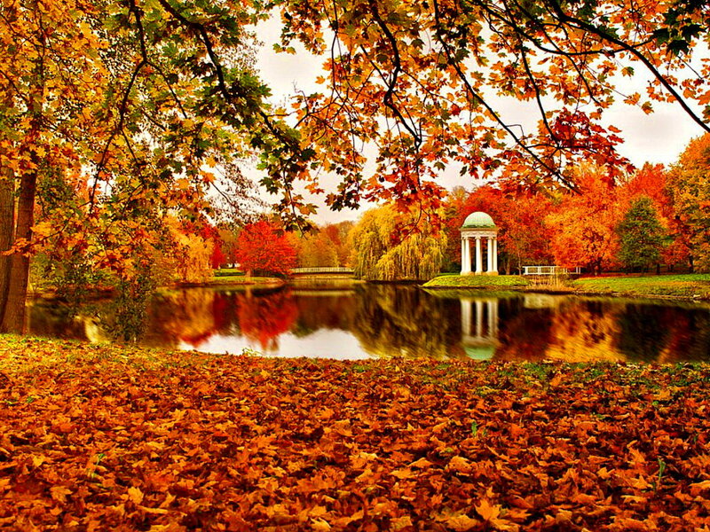 Gazebo in Autumn Park — Orange
