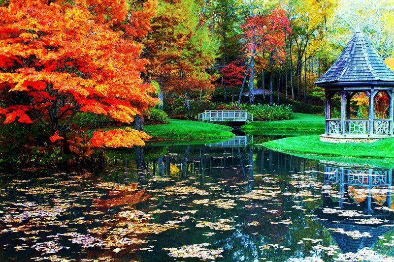 Gazebo in Autumn Park — Red