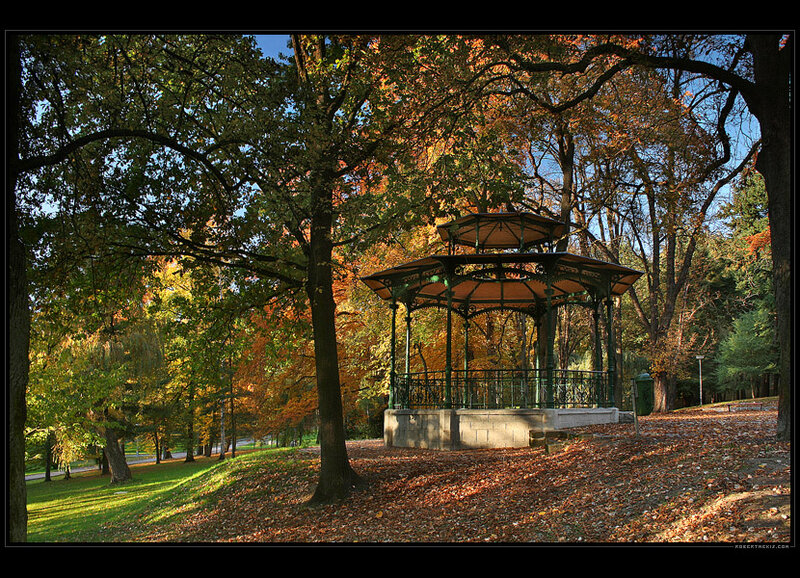 Gazebo in Autumn Park
