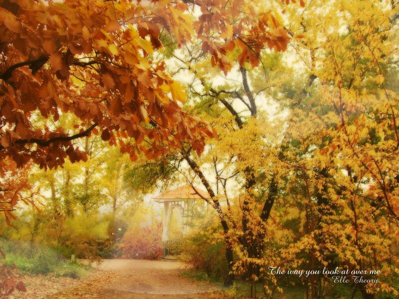 Gazebo in Autumn Park — Yellow